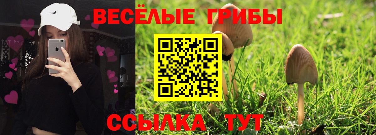 где купить   Вход с VPN  Псилоцибиновые грибы мухоморы  Нижний Тагил  Псилоцибиновые грибы мухоморы 